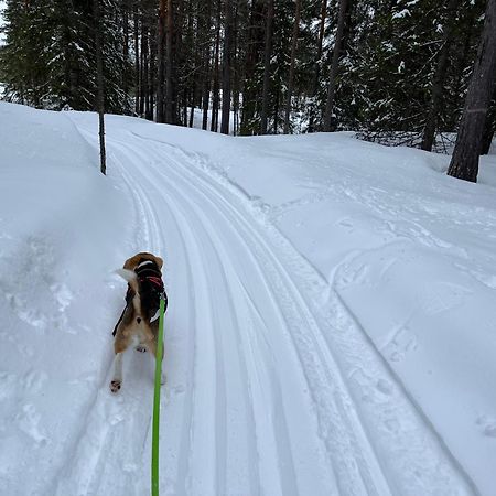 Knappgarden Särna Eksteriør billede