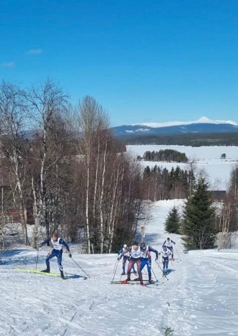 Knappgarden Särna Eksteriør billede