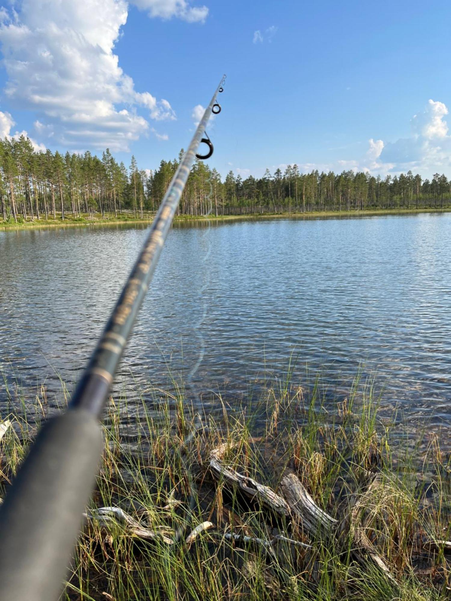 Knappgarden Särna Eksteriør billede